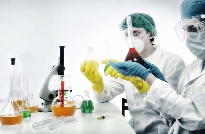 Sed blandit massa vel